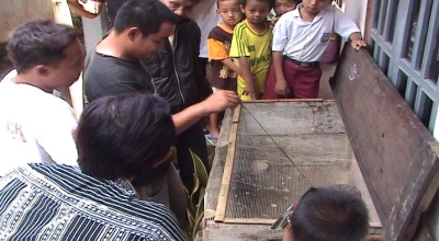 Hiii... Ular Piton 4 Meter Nongol di Belakang Rumah Hiii... Ular Piton 4 Meter Nongol di Belakang Rumah