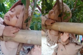 Viral Gadis Cilik Berhijab Ketiduran di Atas Pohon, Pulas Banget Bikin Gemes