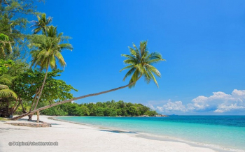 100 Pulau Mau Dijual, Mendagri: Daripada Tak Digunakan Kosong Begitu Saja
