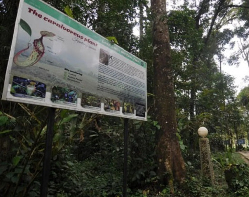 Jelajah Taman Nasional Lore Lindu, Habitat Spesies Langka di Tanah Celebes