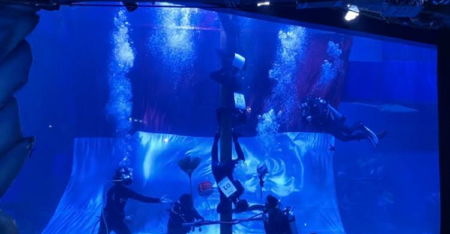 Unik! Ada Lomba Panjat Pinang di dalam Air di Jakarta Aquarium