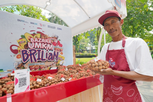 Pemberdayaan BRI Angkat Potensi Klaster Buah Kelengkeng di Tuban