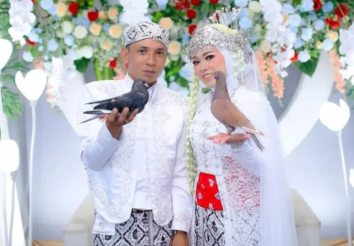 Unik dan Tak Biasa, Pasangan Pengantin Wonosobo Ini Pilih Burung Dara sebagai Mahar Pernikahan