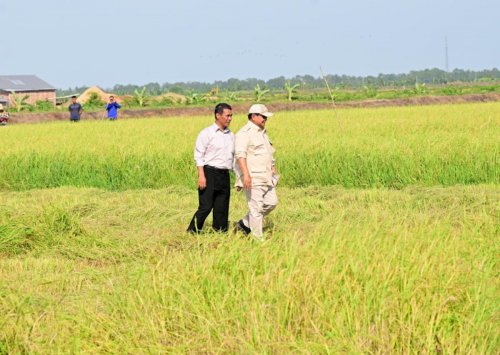 Momen Prabowo Kunker Perdana ke Merauke Ditemani Menhan hingga Kepala BIN