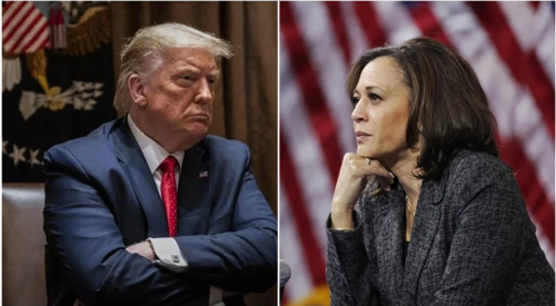 Pilpres AS 2024: Donald Trump Diproyeksikan Menangi West Virginia, Kamala Harris Rebut Vermont