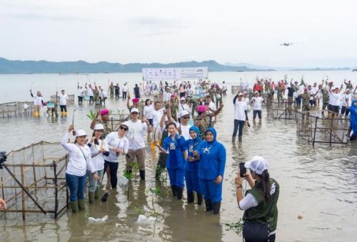 MNC Peduli Tanam 20.000 Bibir Mangrove di Pantai MEP, Ini Kata PJ Gubernur Lampung