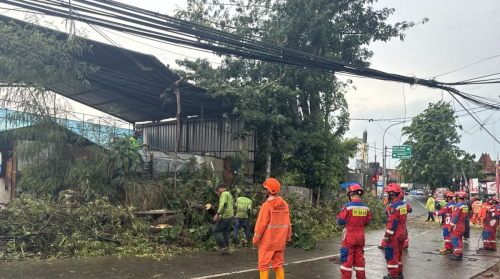 Pohon Besar Timpa 2 Mobil di Cibubur Imbas Hujan Angin Disertai Petir