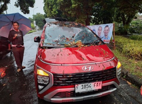 Hujan Angin, Pohon Tumbang Timpa Mobil Mewah di Bogor