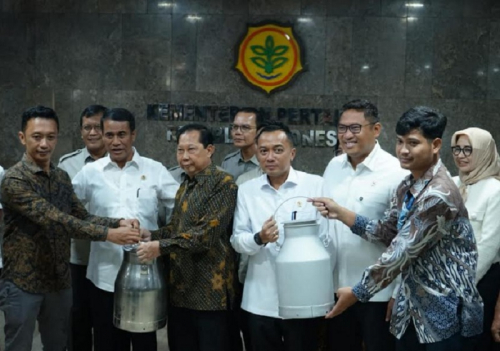 Heboh Protes Peternak Sapi Mandi Susu, Begini Kata Mentan