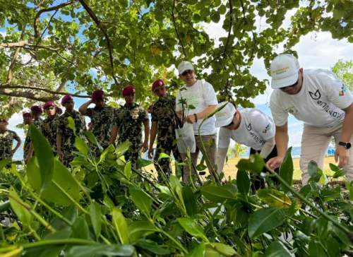 Penanaman 20 Ribu Bibit Mangrove di Pantai Eco Marine Park Lampung Bantu Cegah Pemanasan Global