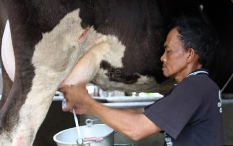 demo-peternak-buang-hingga-mandi-susu-di-boyolali-begini-komentar-zulhas