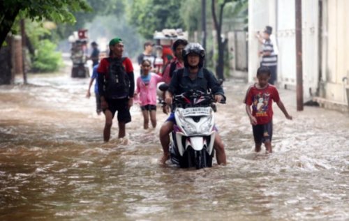 3-rt-di-pluit-jakut-terdampak-banjir-rob-siang-ini