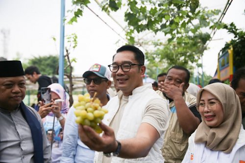 warga-kembangan-harap-ridwan-kamil-perbanyak-agro-eduwisata-di-jakarta