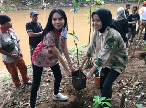 rk-pink-tanam-pohon-di-kali-ciliwung-implementasi-program-ridwan-kamil-suswono-majukan-lingkungan-jakarta