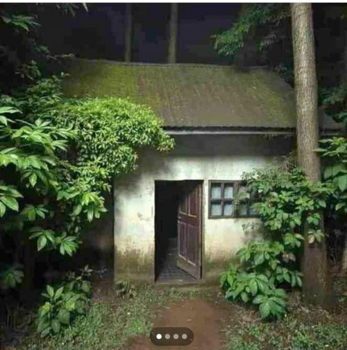 Viral Rumah di Jogja Dijual dengan Harga Rp25 Juta, Berminat?
