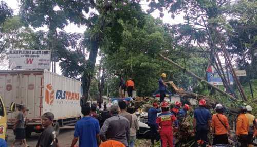 pohon-tumbang-timpa-mobil-dan-motor-di-ciawi-sejumlah-orang-terluka