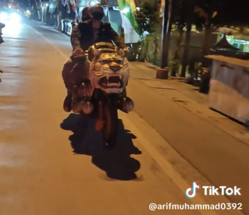 Terinspirasi dari Game Mobile Legend, Pasangan Ini Naik Motor Bentuk Harimau