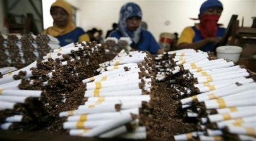 petani-khawatir-penjualan-tembakau-turun-imbas-aturan-rokok-baru