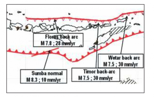 Mengungkap Flores Back Arc Thrust, Penyebab Gempa dan Tsunami Mematikan Desember 1992