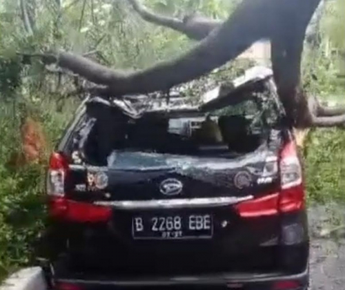 Hujan Angin, Pohon Bertumbangan Timpa Mobil hingga Ringsek di Jakarta