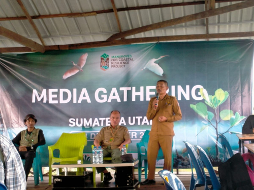 Banyak Perambahan Mangrove di Desa Tanjung Rejo, Sanksi Tebang 1 Harus Tanam 500 Pohon