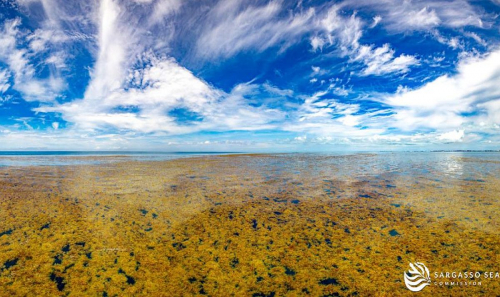 Ternyata Ini Satu-satunya Laut di Dunia yang Tidak Menyentuh Daratan