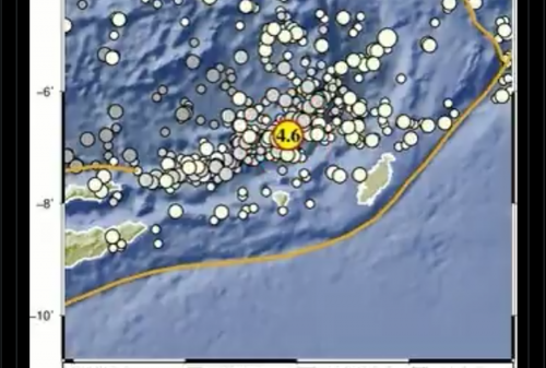 Gempa M4,6 Guncang Wilayah Maluku Tenggara Barat