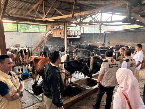 Satgas Pangan Polri Awasi Industri Pengolahan Susu di Jateng dan Jatim, Ini Temuannya
