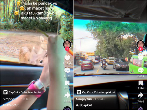 Viral Dua Sejoli Dikawal Patwal demi Pacaran di Puncak Tanpa Macet, Netizen Auto Geram