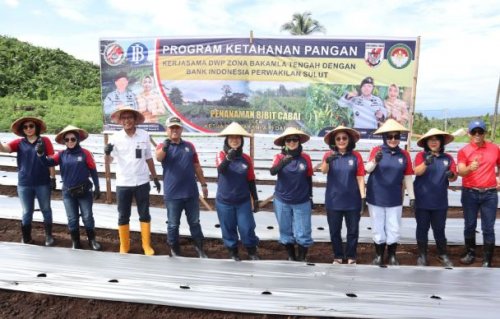 program-ketahanan-pangan-zona-bakamla-tengah-tanam-10000-bibit-cabai