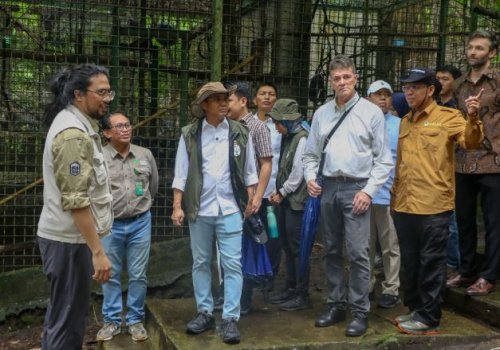 menhut-minta-perketat-upaya-penyelundupan-satwa-gunakan-anjing-pelacak