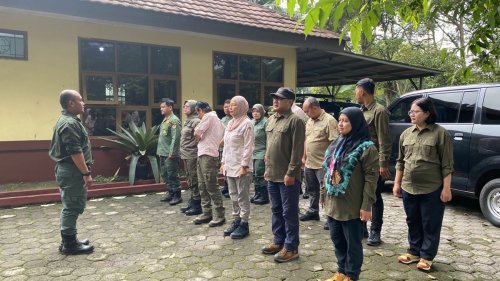 mengintip-aksi-polisi-hutan-amankan-taman-nasional-gunung-gede-pangrango