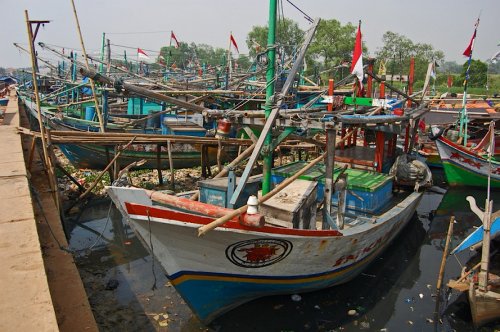 kenapa-dinamakan-muara-angke-ternyata-berawal-dari-peristiwa-pembantaian-10000-manusia