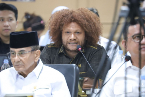 Senator Ini Minta Presiden Prabowo Tinjau Ulang Program PSN Baru