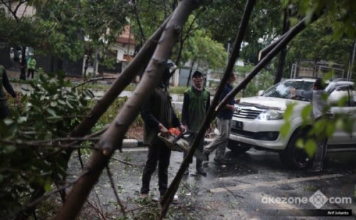 jakarta-diterjang-angin-kencang-pohon-tumbang-timpa-bengkel-motor-di-cakung