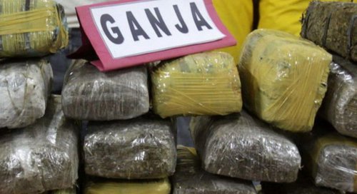 bnn-ungkap-618-kasus-narkotika-sepanjang-2024-sita-ganja-2-ribu-kg