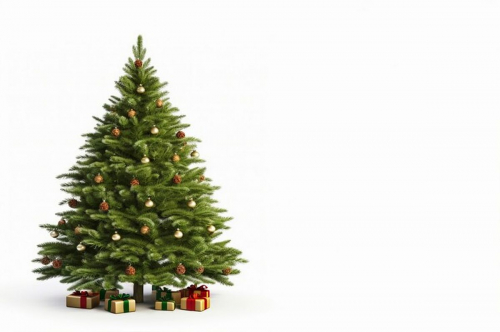Kenapa Cemara Identik dengan Pohon Natal?