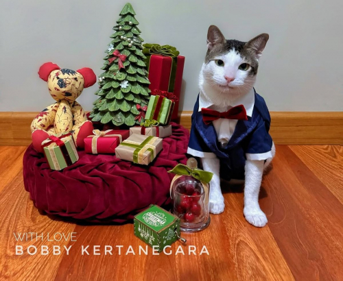 Gaya Bobby Kertanegara Jalani Pemotretan dengan Tema Natal, Gemas Banget!