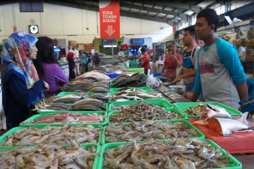 stok-dan-harga-ikan-stabil-jelang-penghujung-2024