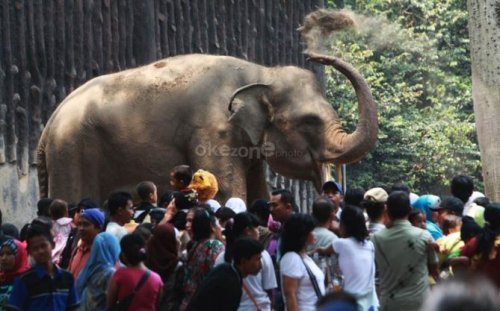 ragunan-didatangi-19-ribu-pengunjung-hari-ini-lonjakan-pengunjung-diprediksi-terjadi-tanggal-1-januari