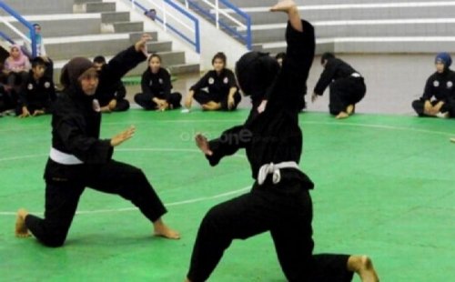 apakah-psht-termasuk-pencak-silat-ini-penjelasannya