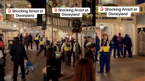 Gegara Kentut di Kawasan Disneyland, Pria Ini Harus Berurusan dengan Polisi