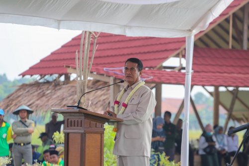 produksi-petani-naik-mentan-yakin-target-32-juta-ton-beras-tercapai-di-2025