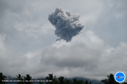 Gunung Ibu Erupsi Lagi, Semburkan Abu Vulkanik 1.200 Meter