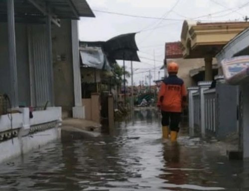 Banjir Rob Terjang Tegal, BNPB: 3.987 Warga Terdampak