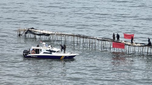 pagar-laut-301-km-diklaim-jadi-tambahan-nelayan-panen-kerang-hijau