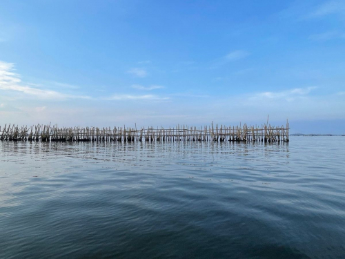 Pagar Laut Ada Juga di Pulau C Reklamasi Jakarta, Pemprov Koordinasi dengan KKP