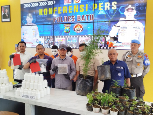 Kronologi Sarjana Pertanian Berkebun Ganja Selama 6 Tahun, Didesain Khusus
