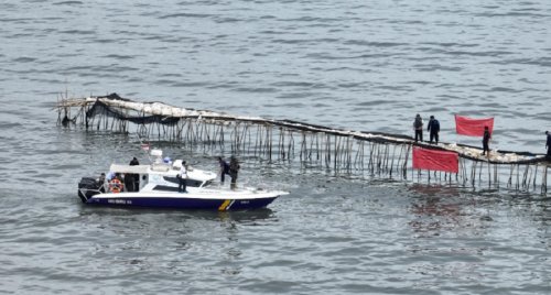 Terungkap! Pemilik Pagar Laut Bekasi Ternyata Proyek Pemerintah