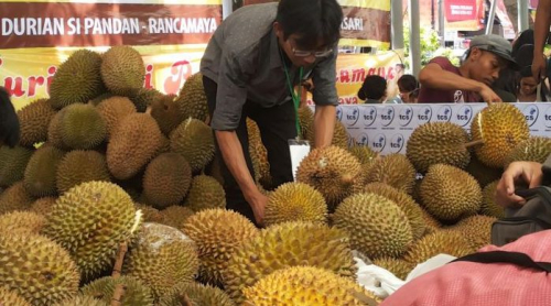 3 Negara Penghasil Durian Terbesar Selain Vietnam, Ada Indonesia?